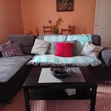 Appartement Spacieux Dans Joli Village Alsacien Chatenois  Luaran gambar