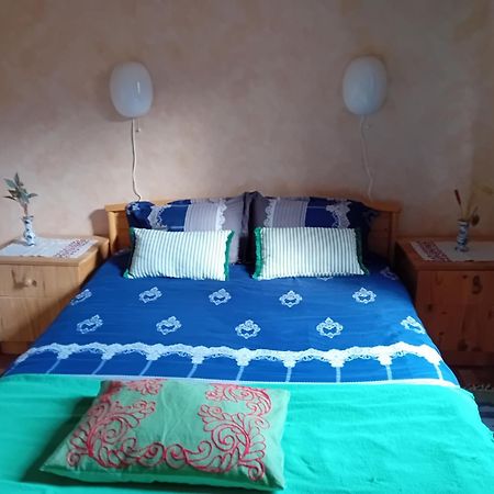 Appartement Spacieux Dans Joli Village Alsacien Chatenois  Luaran gambar