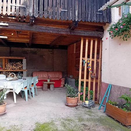 Appartement Spacieux Dans Joli Village Alsacien Chatenois  Luaran gambar