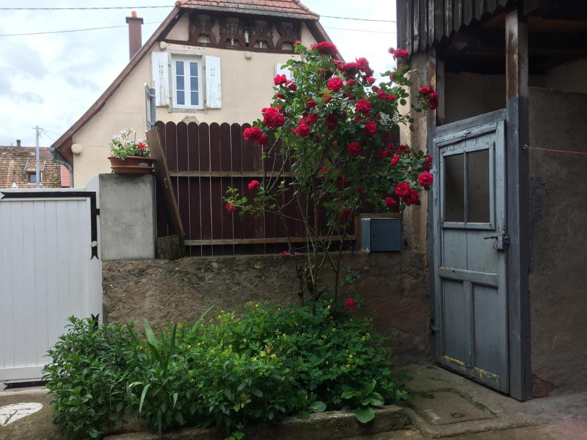 Appartement Spacieux Dans Joli Village Alsacien Chatenois  Luaran gambar