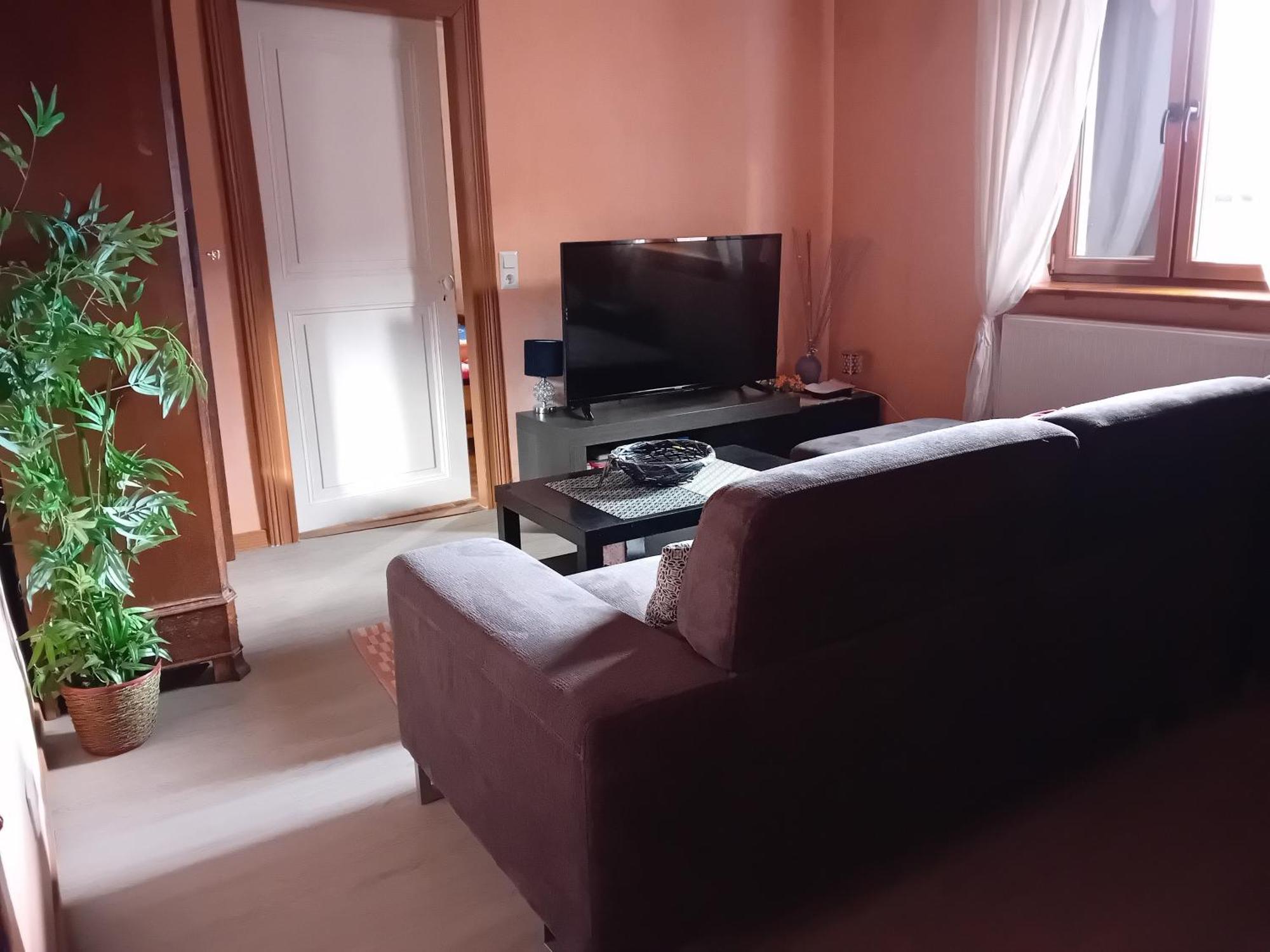 Appartement Spacieux Dans Joli Village Alsacien Chatenois  Luaran gambar