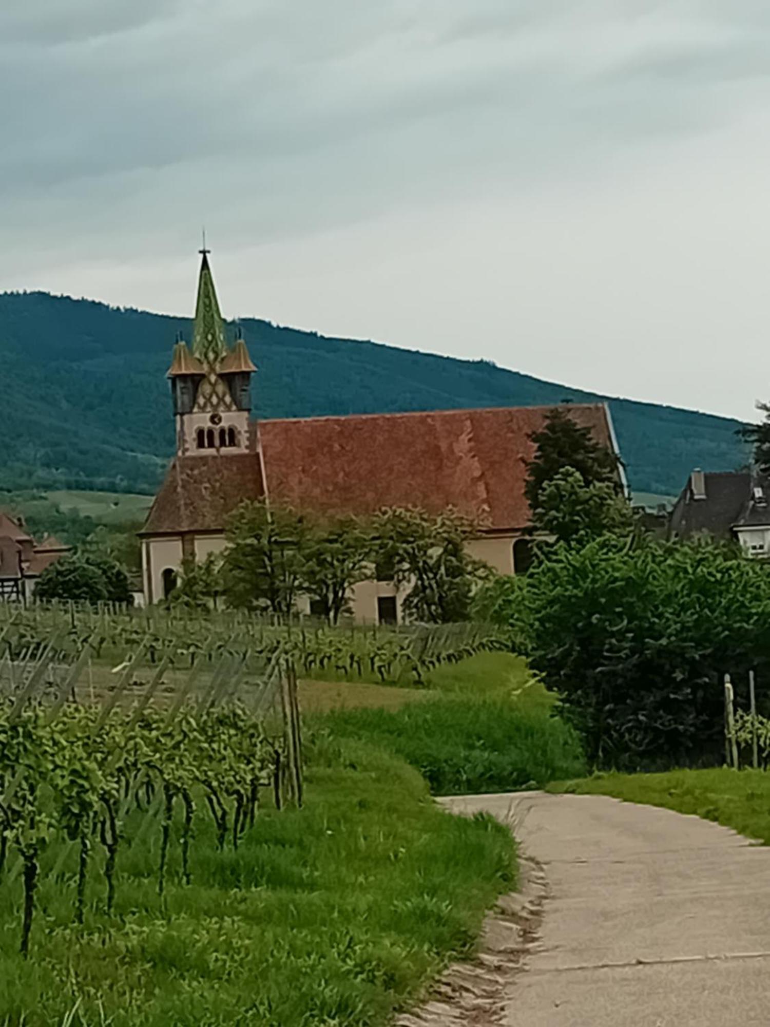 Appartement Spacieux Dans Joli Village Alsacien Chatenois  Luaran gambar