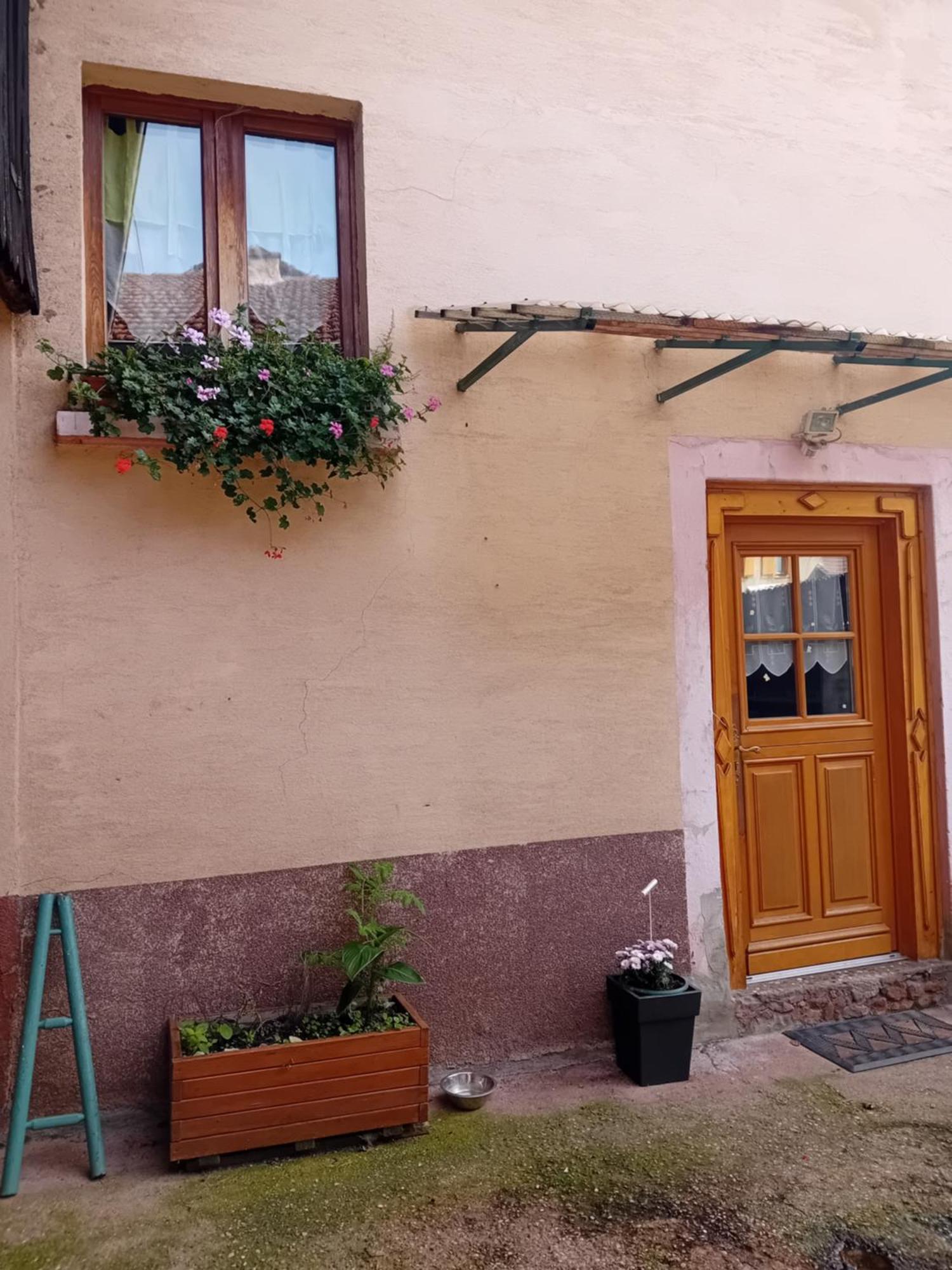 Appartement Spacieux Dans Joli Village Alsacien Chatenois  Luaran gambar