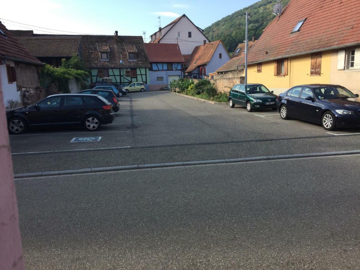 Appartement Spacieux Dans Joli Village Alsacien Chatenois  Luaran gambar